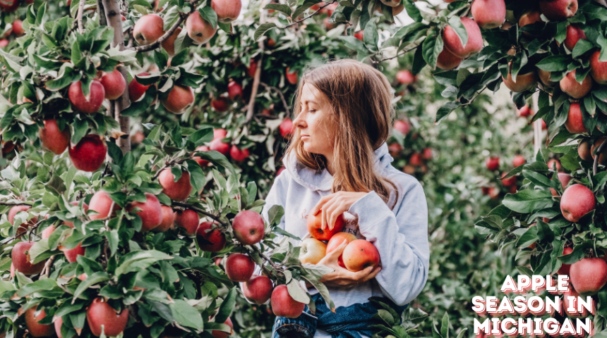 When Is Apple Season in Michigan?