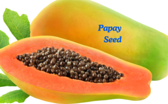 How To Grow Papaya from Seed?