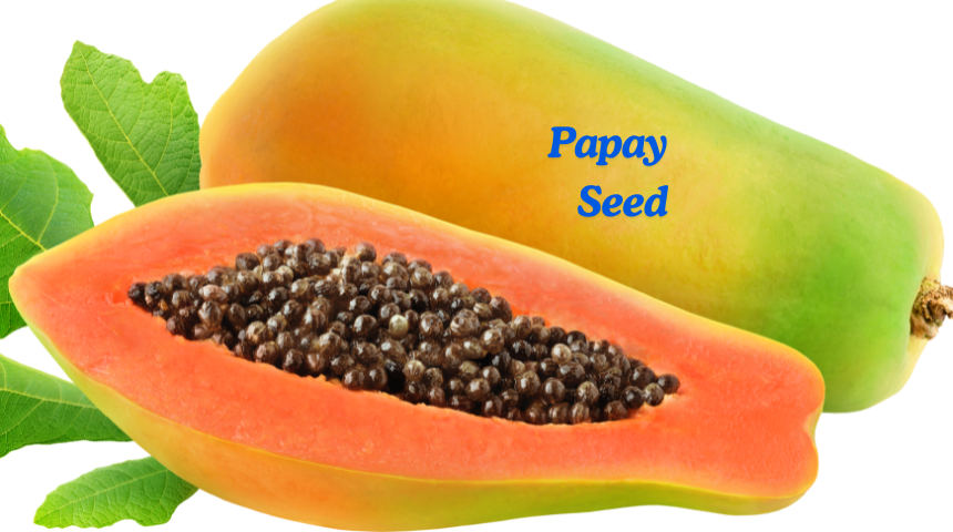 How To Grow Papaya From Seed Greenery Ideas