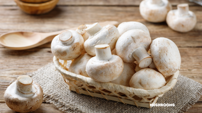 How To Grow Mushrooms?