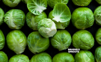 How To Plant And Grow Brussels Sprouts?