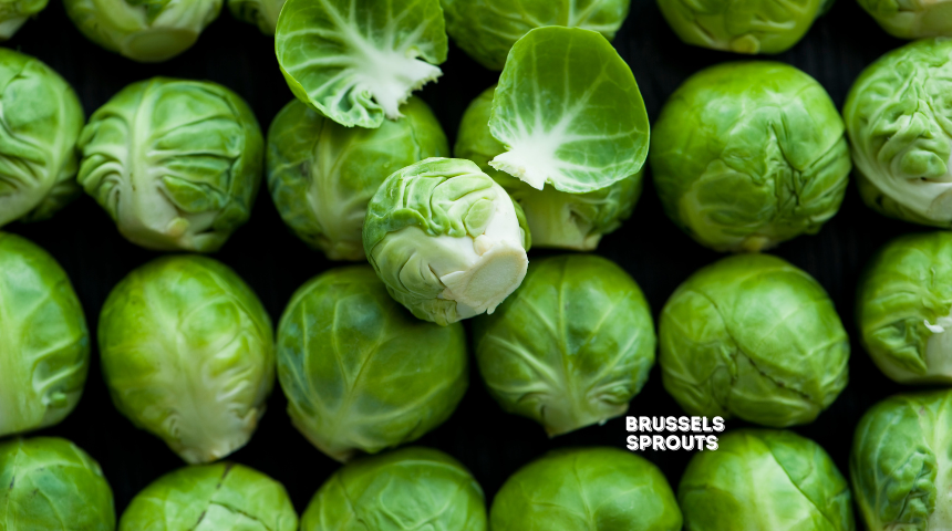 How To Plant And Grow Brussels Sprouts?