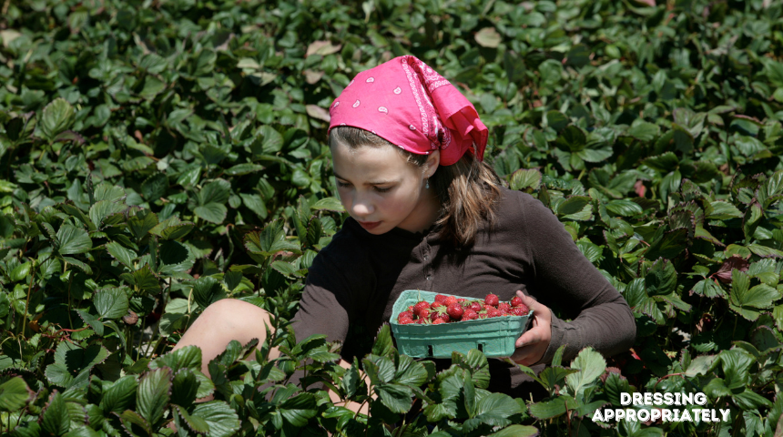 What To Wear To Pick Strawberries?