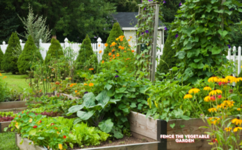 How to fence the vegetable garden?