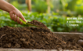 What is the best soil for a vegetable garden?