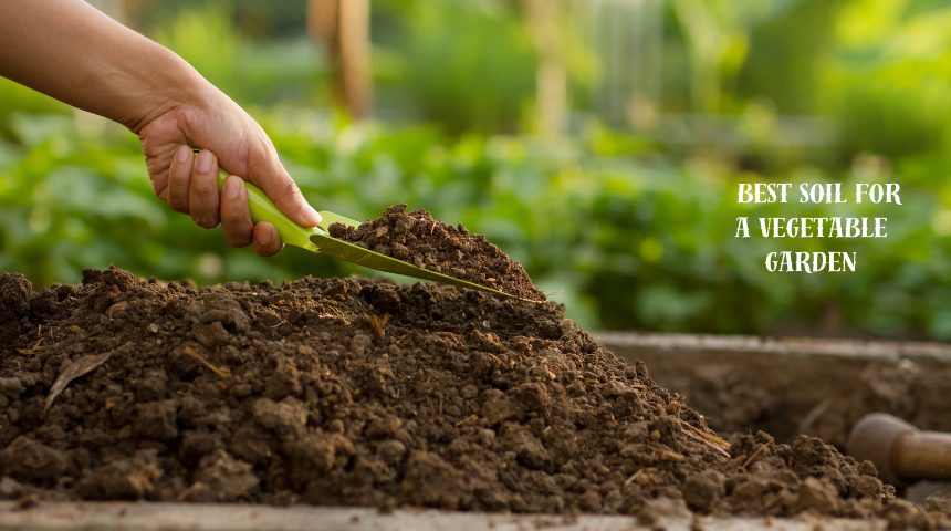 What is the best soil for a vegetable garden?