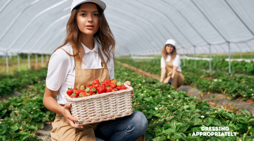 What To Wear To Pick Strawberries?