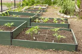 What is the best soil for a vegetable garden?