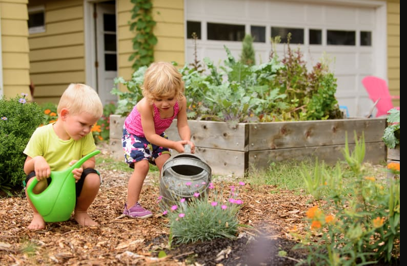 How to Make a Vegetable Garden Front Yard