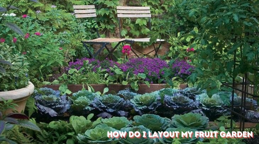 How do I layout my Fruit Garden