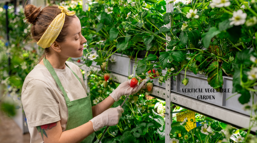 Vertical Vegetable Garden