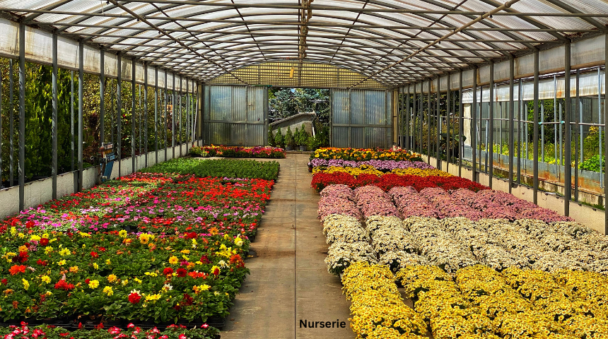 Where Do The Nurseries Get Their Plants