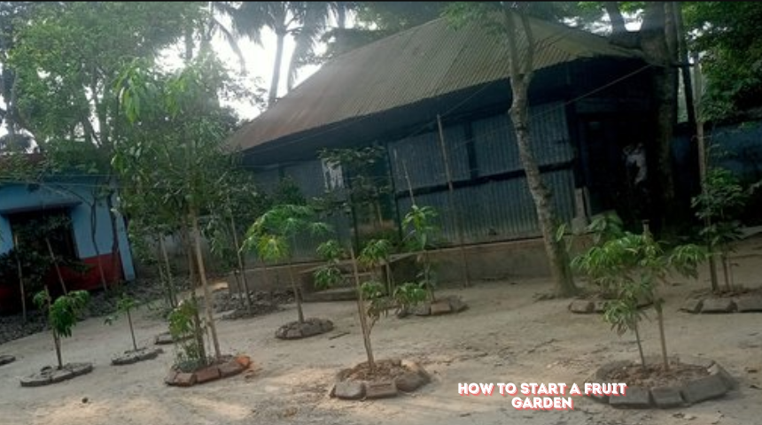 How To Start A Fruit Garden