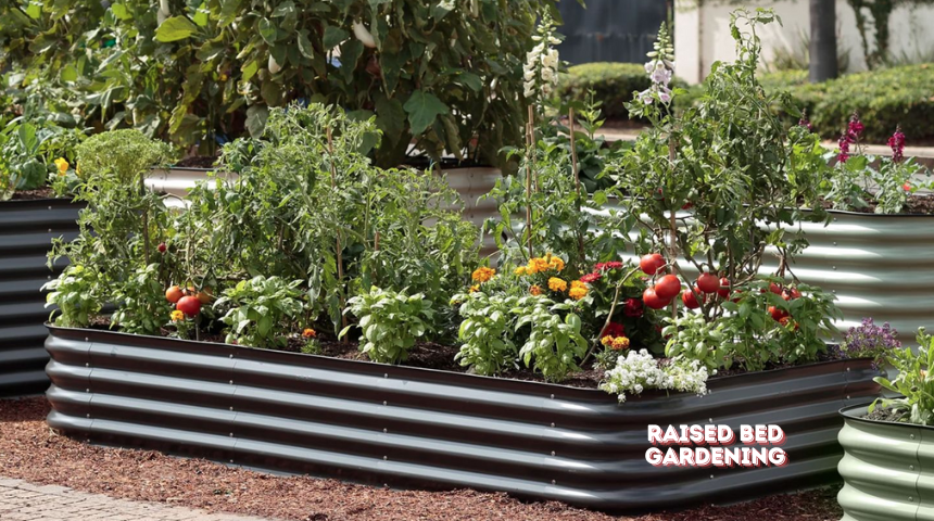 What Is Raised Bed Gardening