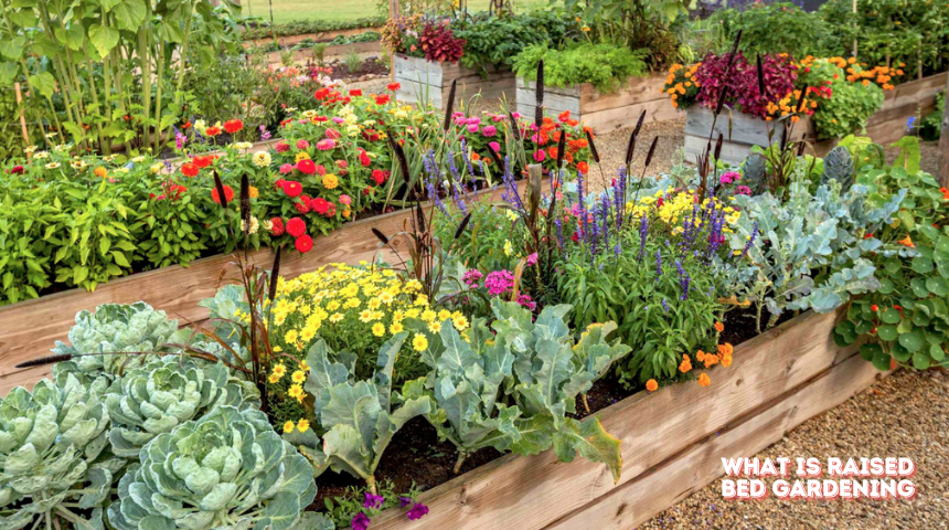 What Is Raised Bed Gardening