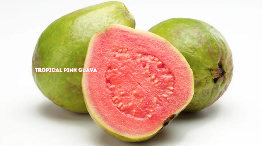 How To Grow A Guava Tree Faster