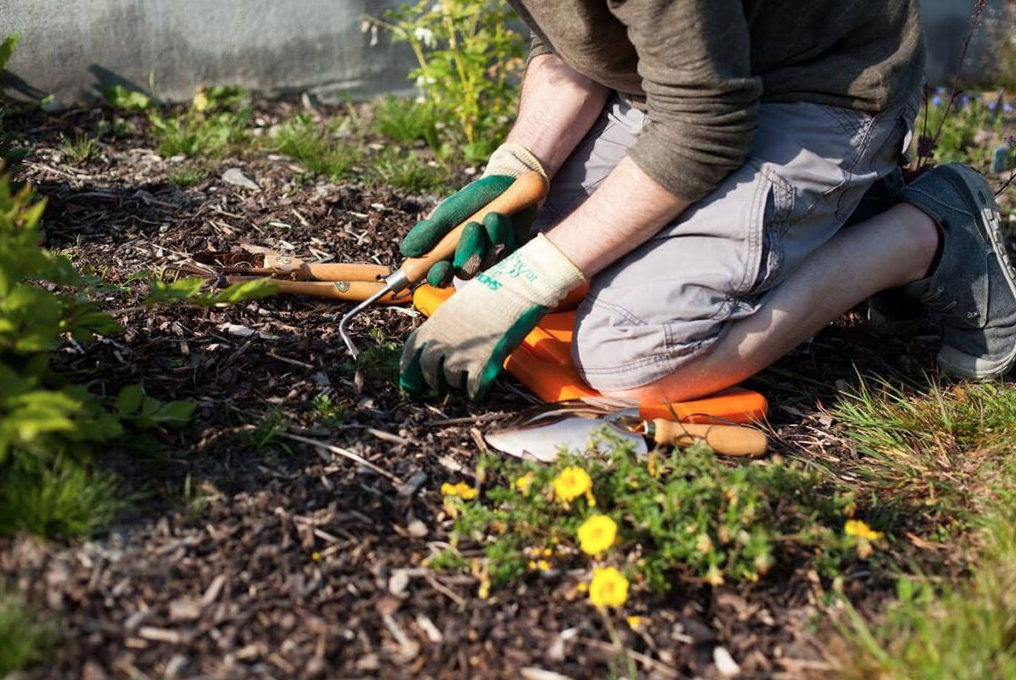 What Are The Methods Of Weed Control For A Flower Garden