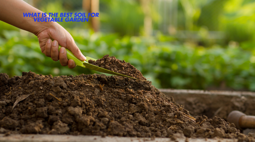 What Is The Best Soil For Vegetable Garden