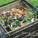 What Is The Best Compost For A Vegetable Garden