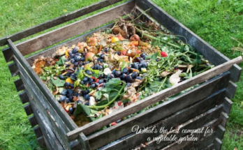 What Is The Best Compost For A Vegetable Garden