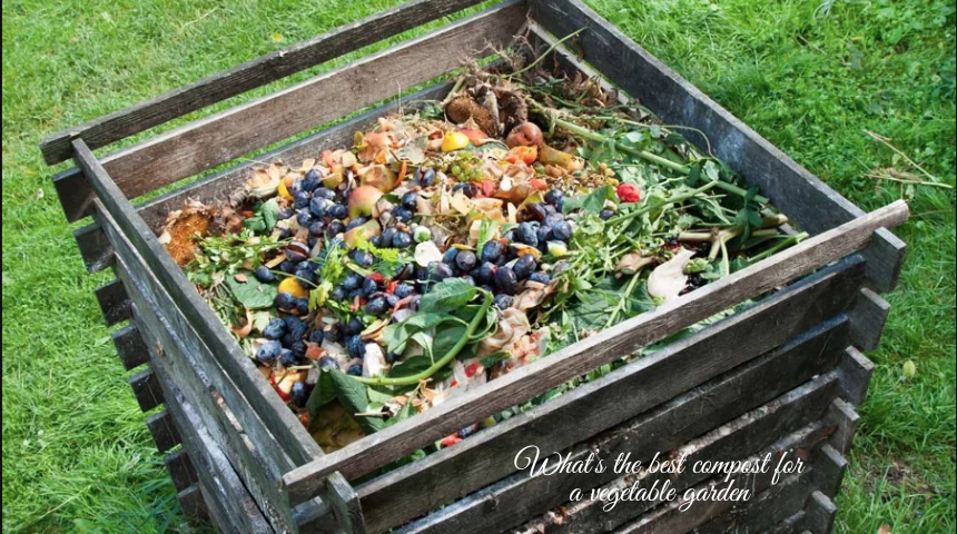 What Is The Best Compost For A Vegetable Garden