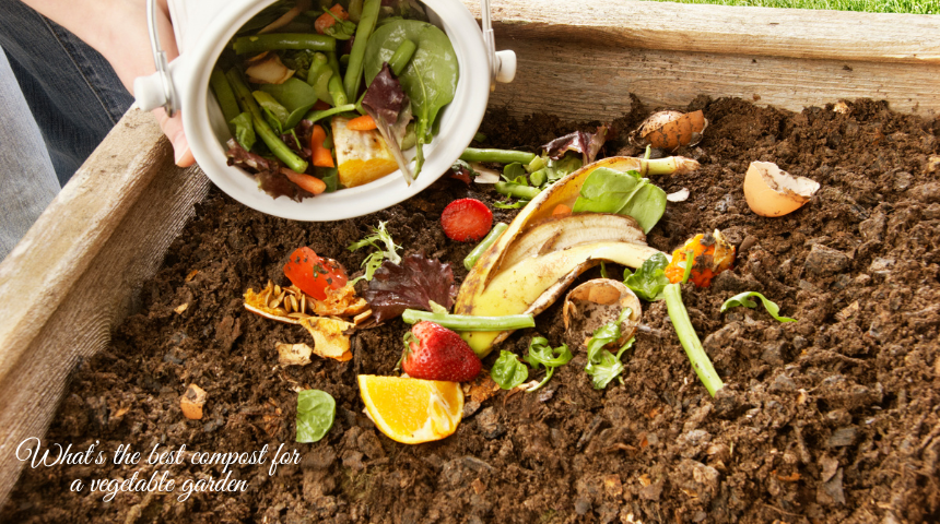 What Is The Best Compost For A Vegetable Garden